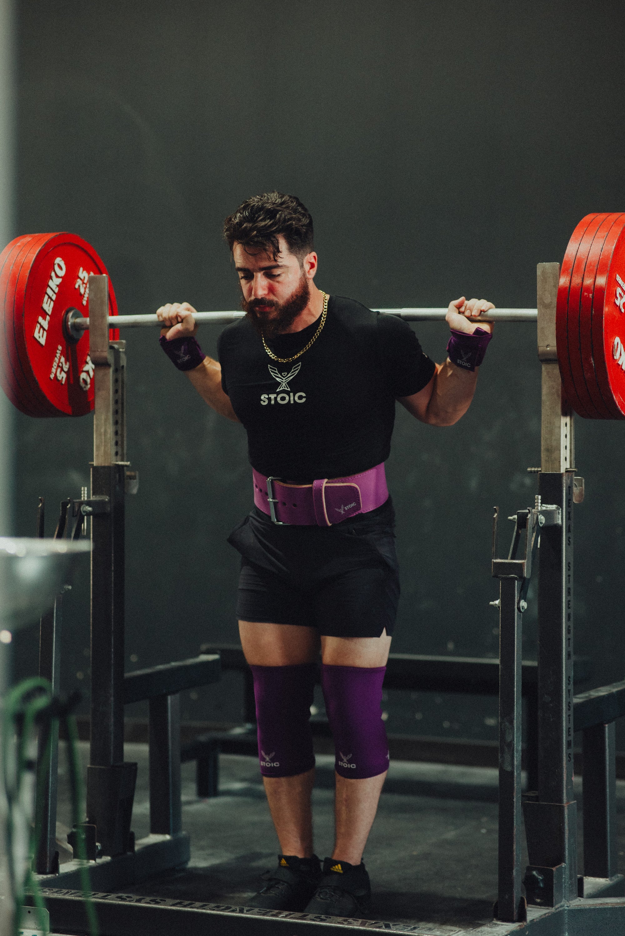 Stoic Knee Sleeves - Purple