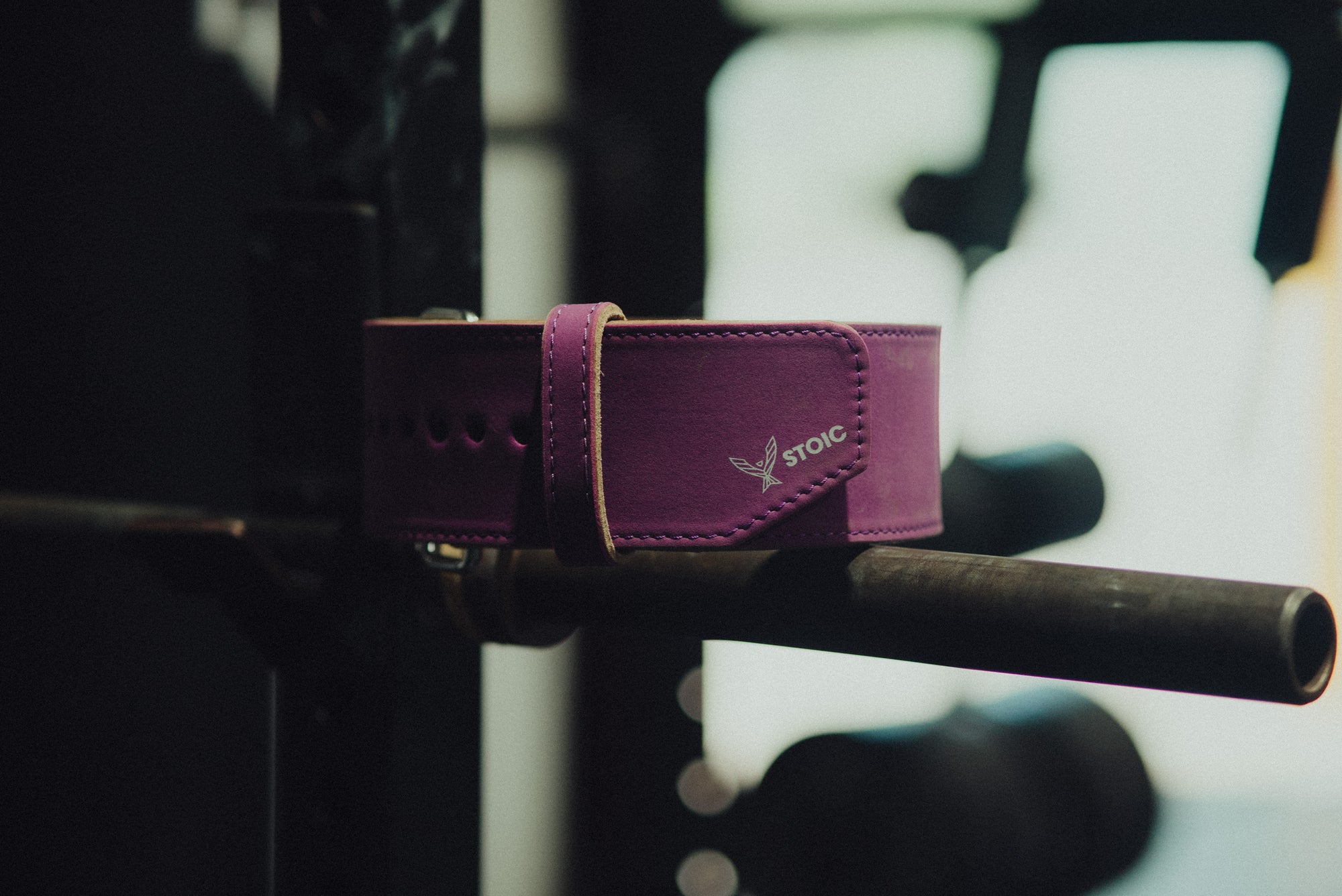 Stoic Purple Prong Belt