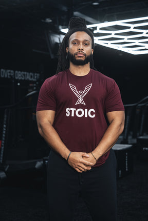 Logo · Maroon