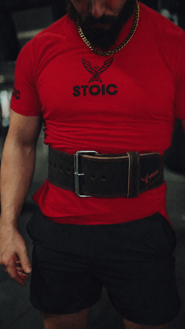 Stoic Powerlifting Prong Belt (10mm) - Bloodline — back view — Stoic Performance